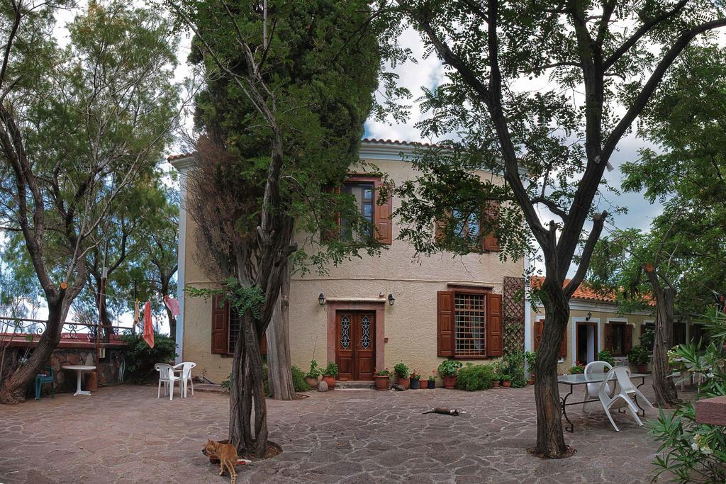 Lela Kaptani Eftalou Olive Grove Мітімна Екстер'єр фото